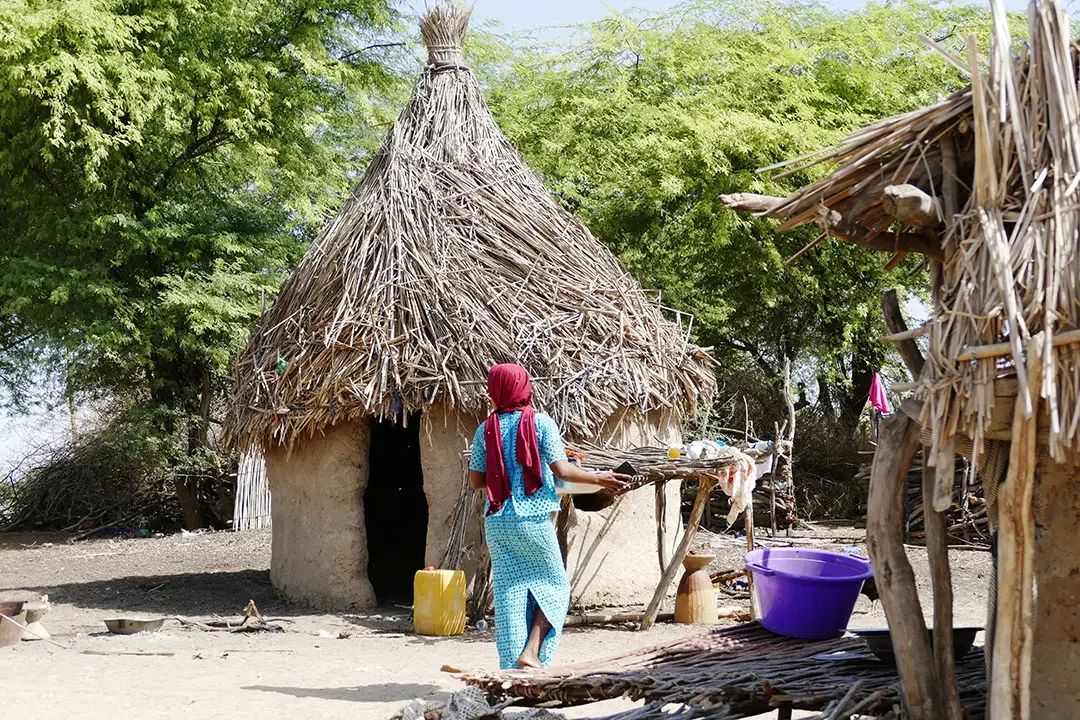 cases, sénégal, association, aide humanitaire, afrique, don, aide humanitaire Sénégal Podor Développement communautaire Assistance médicale Éducation Sécurité alimentaire Eau potable Hygiène et assainissement Santé maternelle et infantile prévention des maladies reconstruction post-conflit Protection des droits de l'homme Intégration sociale renforcement des capacités programme de développement durable assistance aux réfugiés insertion économique sensibilisation aux enjeux environnementaux partenariats locaux et internationaux agriculture durable microcrédit autonomisation des femmes infrastructures de base énergie renouvelable accès aux soins de santé éducation des adultes sensibilisation à la santé publique gestion des ressources naturelles coopération internationale gestion des crises volontariat local réduction de la pauvreté planification familiale prévention du VIH/SIDA lutte contre la malnutrition accès à la justice formation professionnelle innovation sociale droits des enfants