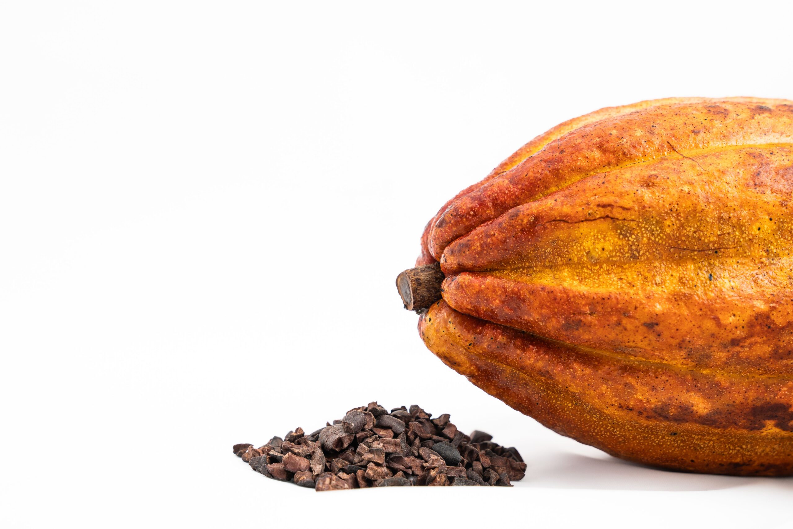 Féve de chocolat